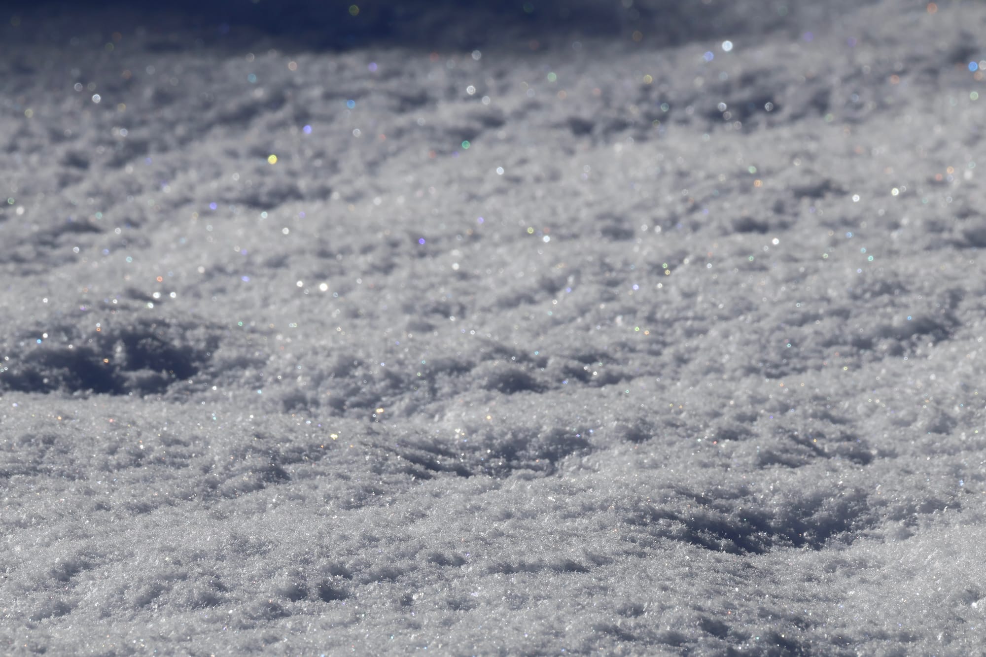 Snow glittering as it’s lit up by sunshine