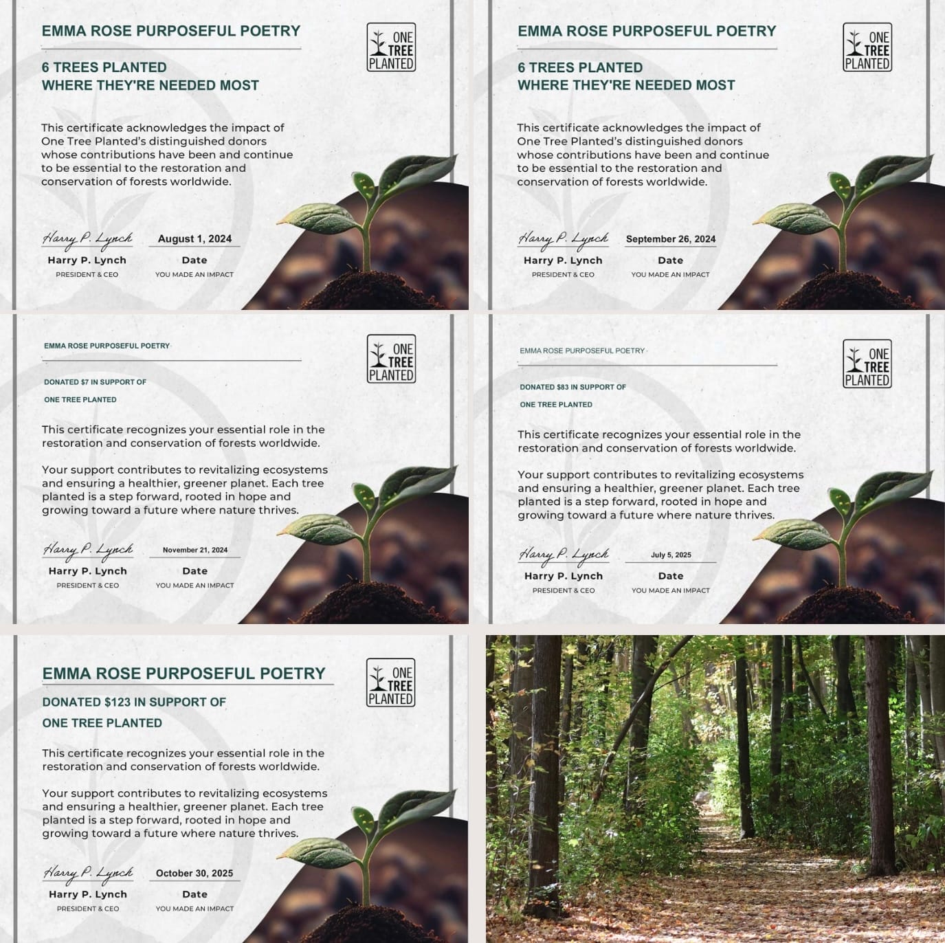 Five certificates form One Tree Planted, with a photo bottom right of a leaf lined pathway through trees. Each certificate has a tree sapling growing out of soil at the bottom right, with text saying how much each donation was for at the time. Since August 1st 2024 tree donations made equate to 225 trees being planted. 